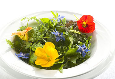 MISTICANZA DI INSALATE CON ERBE AROMATICHE E FIORI