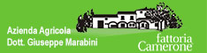 Fattoria Camerone - Aziende vinicole  - Emilia Romagna - Ravenna - RA