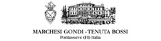 Marchesi Gondi - Pontassieve - Aziende vinicole  - Toscana - Firenze - FI