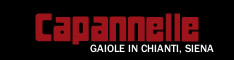 Capannelle - Aziende vinicole  - Toscana - Siena - SI