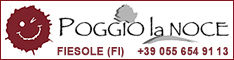 Poggio La Noce Fiesole - Aziende vinicole  - Toscana - Firenze - FI